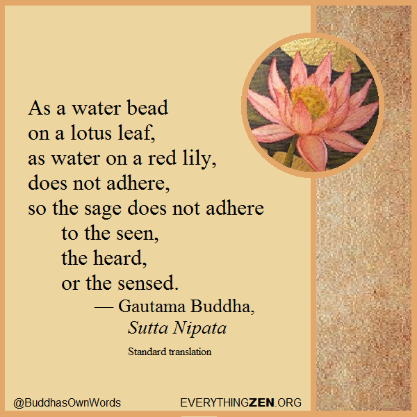 115 As a water bead on a lotus leaf.png