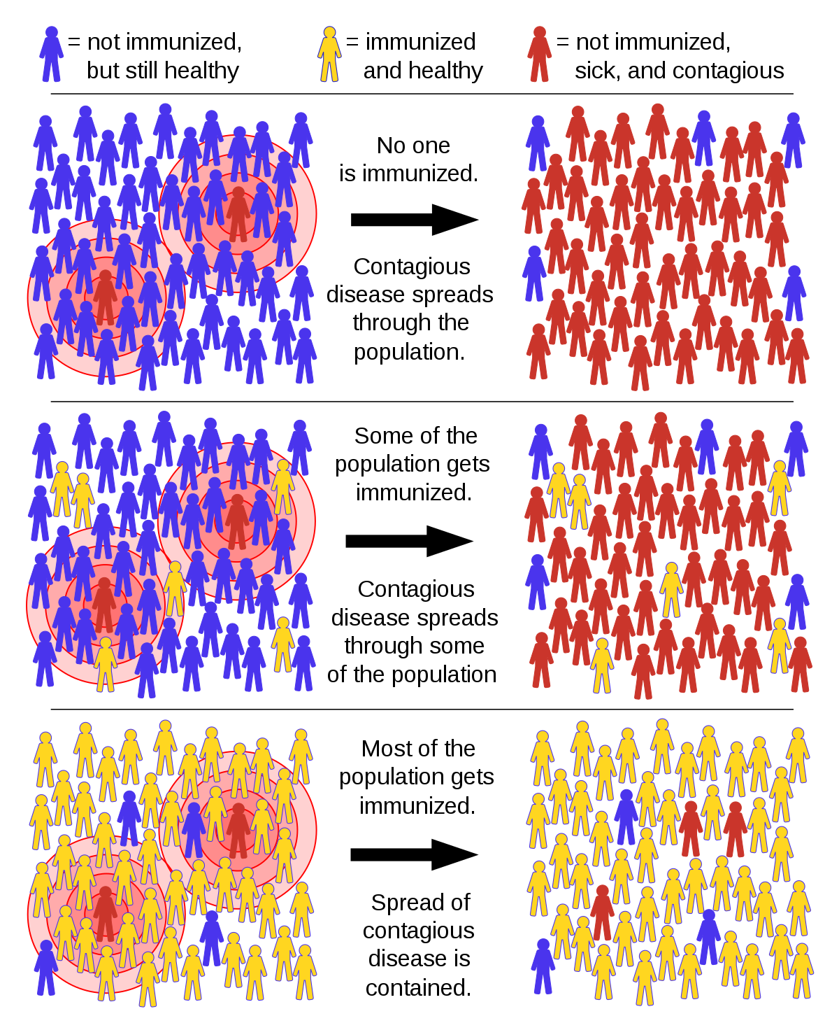 1200px-Herd_immunity.svg.png