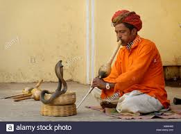 Image result for Indian snake charmer