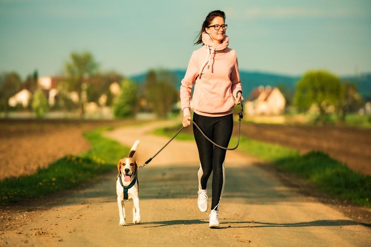 Beagle-on-leash-running-with-a-woman-on-a-trail.jpg