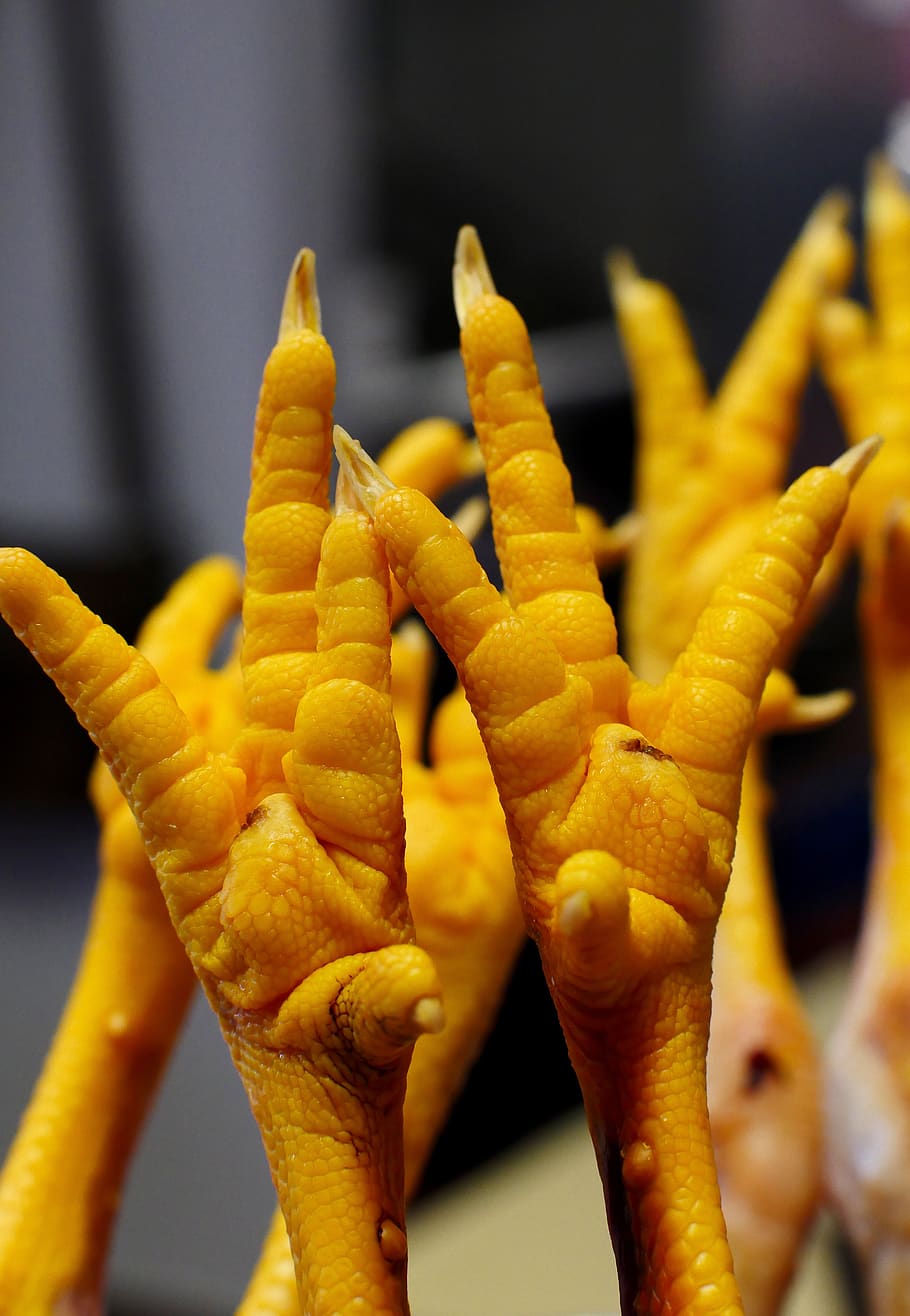 chicken-feet.jpg