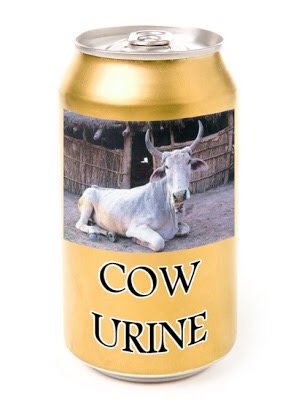 Cow_urine_export.JPG