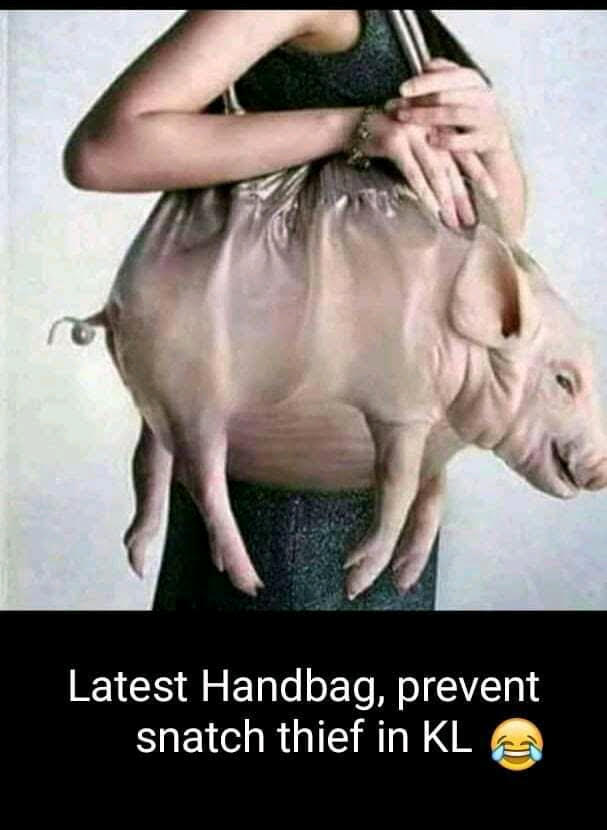 haram bag.jpg