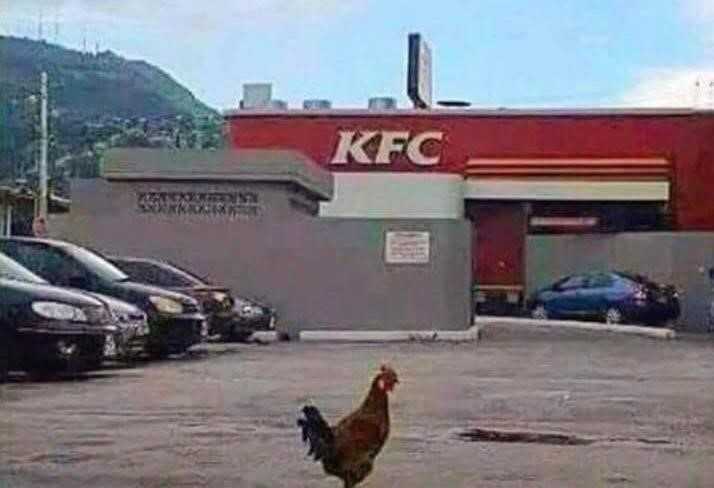 KFC.jpg