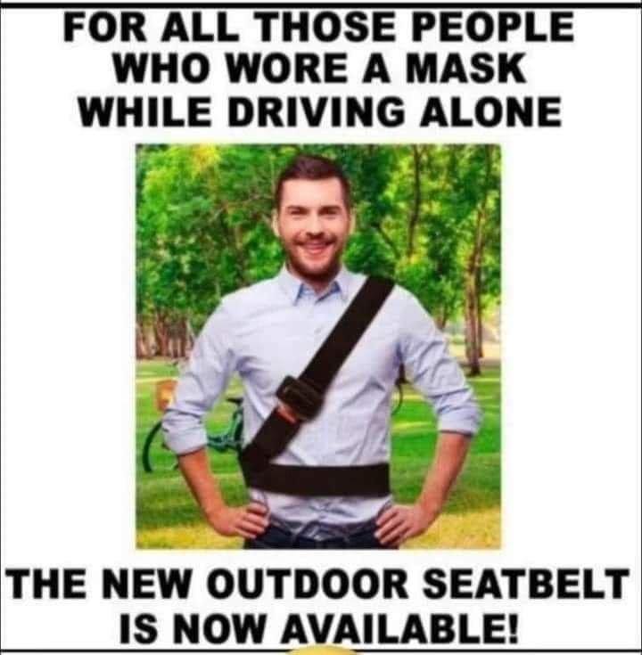 seatbelt.jpg