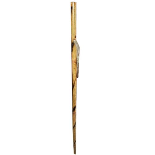 security-bamboo-stick-500x500.jpg