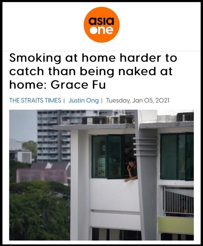 Smoking at home harder to catch than being naked at home - Grace Fu.jpg