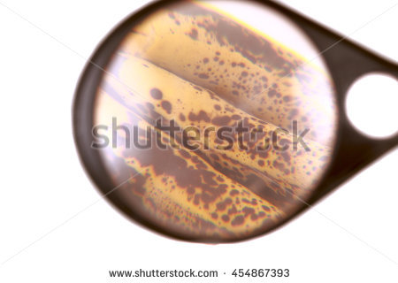 stock-photo-ripe-banana-under-a-magnifying-glass-on-a-white-background-454867393.jpg