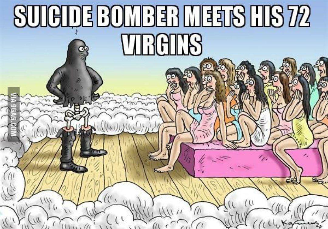 Suicide bomber gets 72 virgins.jpg