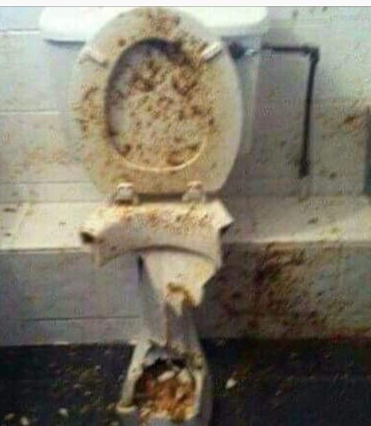 toilet.jpg