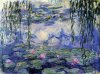 monet1.jpg