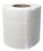 isolated-toilet-paper.jpg