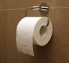 Toilet_paper_orientation_over.jpg