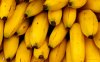 bananas1.7nr5ty4ijf8cwsgwcwgsk4gs4.7wwajtub88gs0k8c8wsoc84c8.th.jpeg