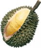 durian.JPG