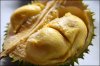 Durian-King-of-Fruits_9.jpg