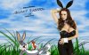 occidental-bunny-2.jpg