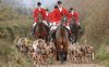 fox-hunting_2772078k.jpg