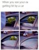 kermit.jpg