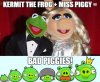 kermit&piggy.jpg