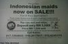 20121030_120301_maidsonsale.jpg