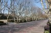 Winter at Fuxing_Park.jpg